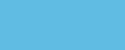 Roller Frixioin Ball Pilot