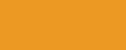 Roller Frixioin Ball Pilot