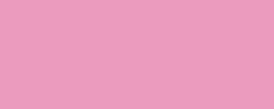 Roller Frixioin Ball Pilot