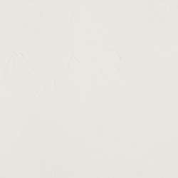 Blanco transparente - PW6