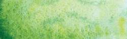 Verde llanura - PG18, PY159