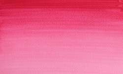 rosa permanente - PV19