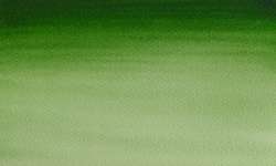 verde Hooker claro - PB15,PG7,PY139