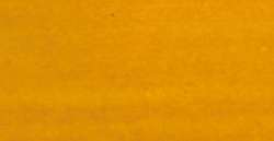 Amarillo indio - CAY23