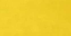 Amarillo primario - CAY23