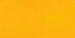 Amarillo oscuro - CAY23 CFY3