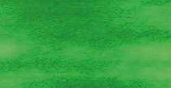 Verde de Oriente - CAB9 CAY17