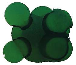 Tinta a base de alcohol Pinata Color, 15 ml, Rainforest green