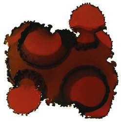Tinta a base de alcohol Pinata Color, 15 ml, Burro brown
