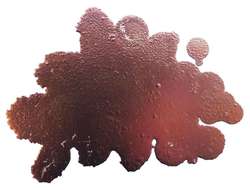 Tinta a base de alcohol Pinata Color, 15 ml, Pearl