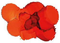 Tinta a base de alcohol Pinata Color, 15 ml, Tangerine