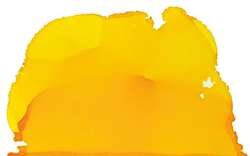 Tinta a base de alcohol Pinata Color, 15 ml, Golden yellow