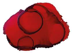 Tinta a base de alcohol Pinata Color, 15 ml, Santa fe red