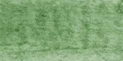 Acuarela Michael Harding, 15 ml, Terre verte - PG23