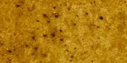 Acuarela Michael Harding, 15 ml, Transparent oxide yellow - PY42