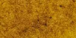 Acuarela Michael Harding, 15 ml, New gamboge - PY150