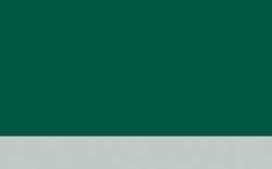 Verde abeto