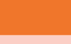 Mandarina