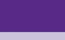 Violeta