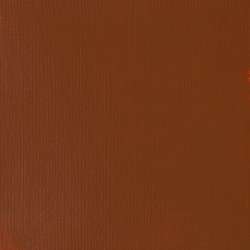 Tierra sienna tostada - PBk9