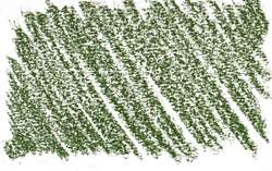 verde claro 1 - PY83/PG7