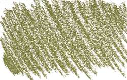 verde oliva 2 - PG17/PY42