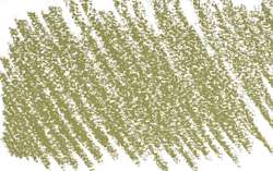 verde oliva 3 - PG17/PY42