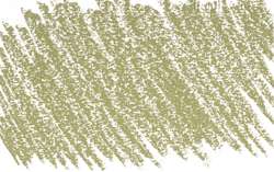 verde oliva 4 - PG17/PY42