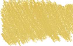 amarillo capuchina 1 - PY83/PR254