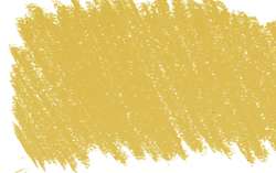 amarillo capuchina 2 - PY83/PR254