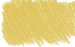 amarillo capuchina 3 - PY83/PR254