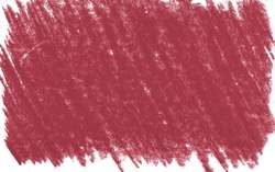 rosa permanente 1 - PV19