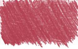 rosa permanente 2 - PV19