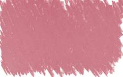 rosa permanente 3 - PV19