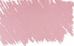 rosa permanente 4 - PV19