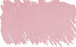 rosa permanente 5 - PV19