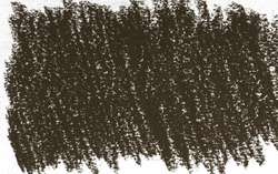 pardo Van Dyck 1 - PR101/PG7