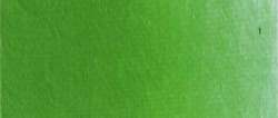 Verde permanente oscuro