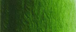 Laca verde vejiga extra