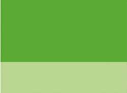 Verde claro