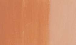 Bronceado - PR101
