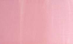 Coral rosa - PR108