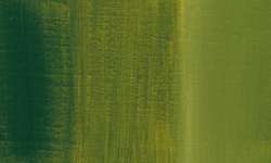 Verde oliva - PY65/PO13/PG7/PBk7
