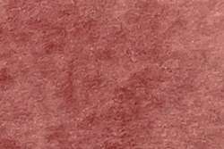 Ocre rojo - PR101