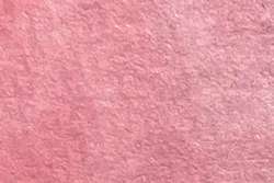 Rosa Julia - PW6/PR122