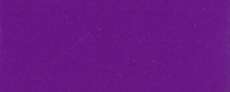 Violeta