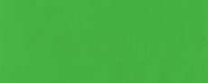 Verde claro
