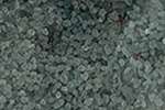 Granulado de vidrio Jesmonite, 150 g, plata