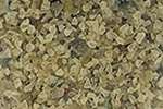 Granulado de vidrio Jesmonite, 150 g, marfil