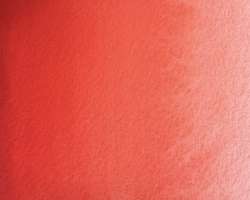 Rosa coral - PW6 + P073 + PV19